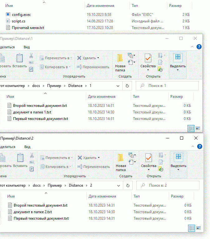 Видим что в результате работы программы CopyInAllFolder, все файлы из папки Source были скопированы во все папки в папке Distance